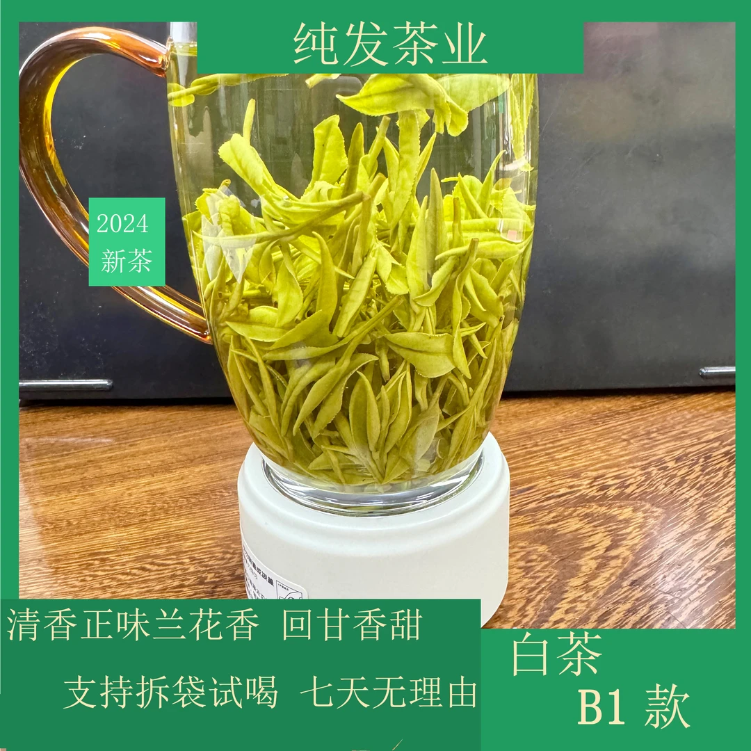 2024年新茶【小芽头】B1高货白茶  正味兰花香 鲜爽香甜  原产地