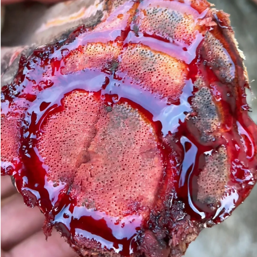 广西深山天然鸡血藤干品食用晒干切片250克500克