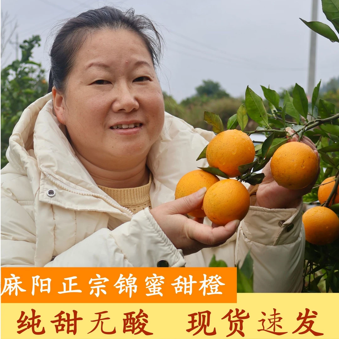 【煎饺妹专享】麻阳锦蜜甜橙正宗湖南冰糖橙新鲜采摘纯甜无酸爆汁