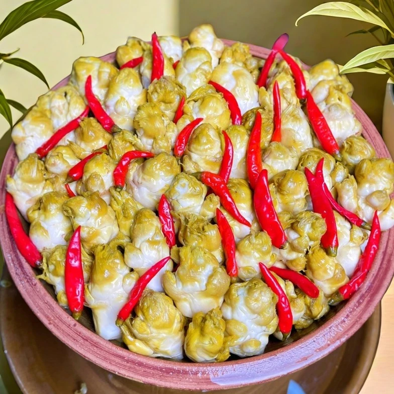 新鲜泡儿菜500g脆爽娃娃菜农家正宗咸菜温州传统老坛泡菜A3