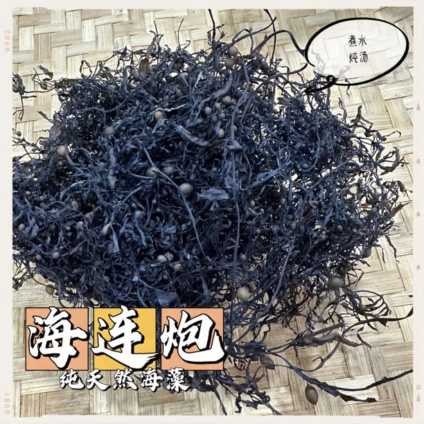 【海连炮】汕尾红海湾纯天然海藻海连炮煮水炖汤50g包邮