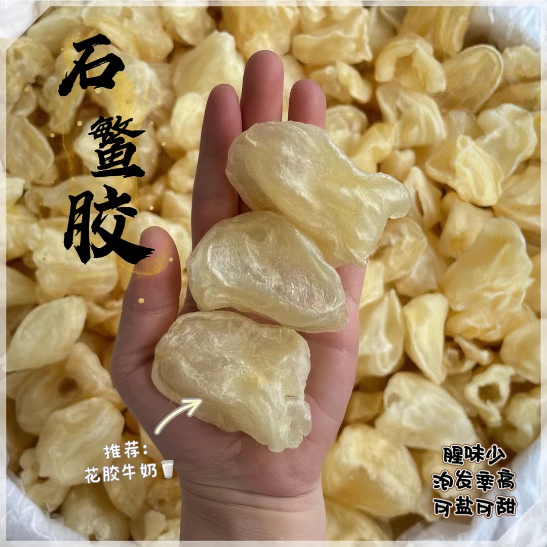 广东鱼胶石鳘鱼胶海螺片深海石斑鱼鳔花胶牛奶果冻广东煲汤食材
