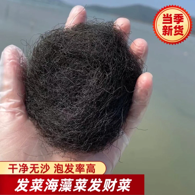 发菜粥日晒海发菜干货无沙免洗发菜丝头发菜海藻菜龙须菜发财菜