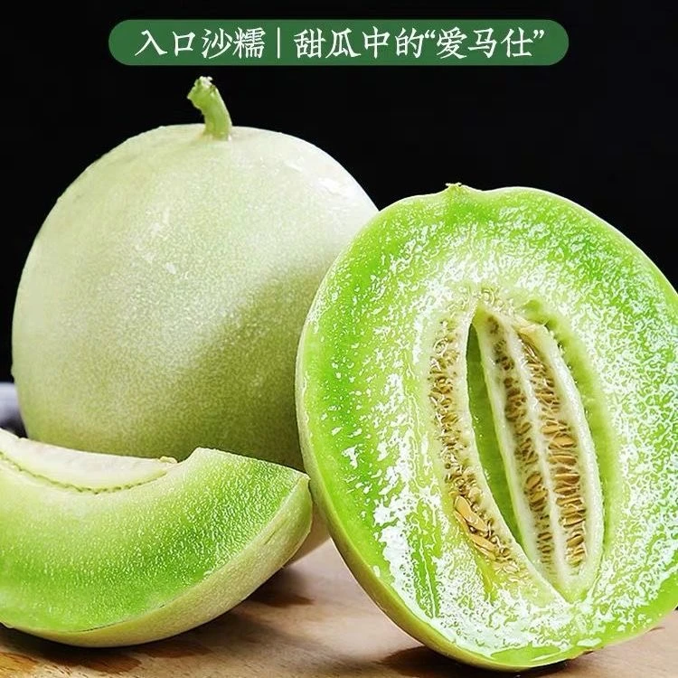 山东头茬玉菇甜瓜4.5--5斤冰淇淋甜瓜当季新鲜水果软糯【坏果包赔】