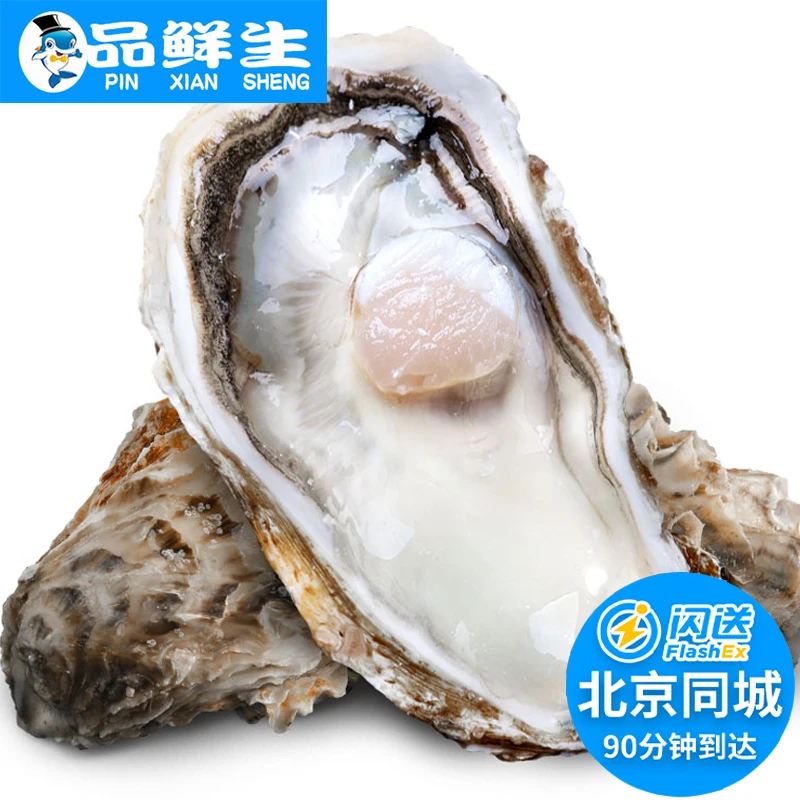北京闪送 鲜活生蚝 单只2-6两1只 可选规格 牡蛎海蛎子 海鲜水产