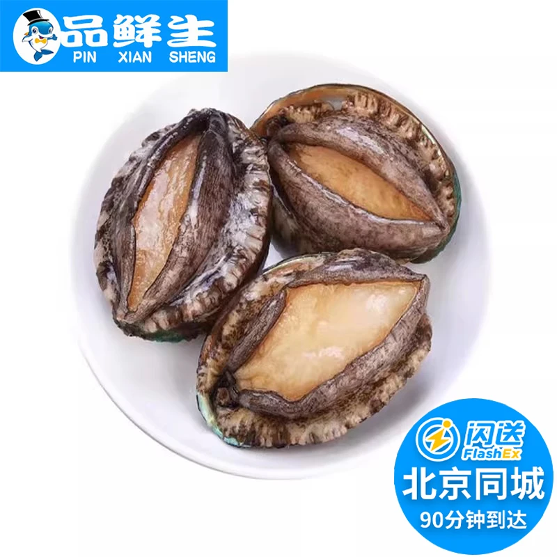 北京闪送 鲜活鲍鱼 单只50g-250g 可选规格大连鲍鱼仔新鲜大鲍鱼