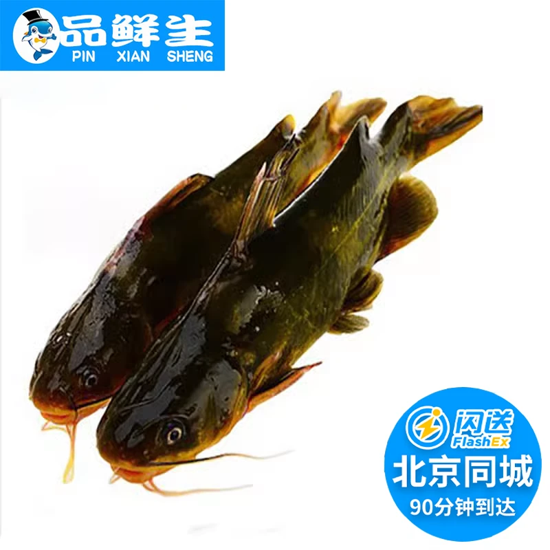 北京闪送 3-6条1斤 鲜活嘎鱼 黄辣丁