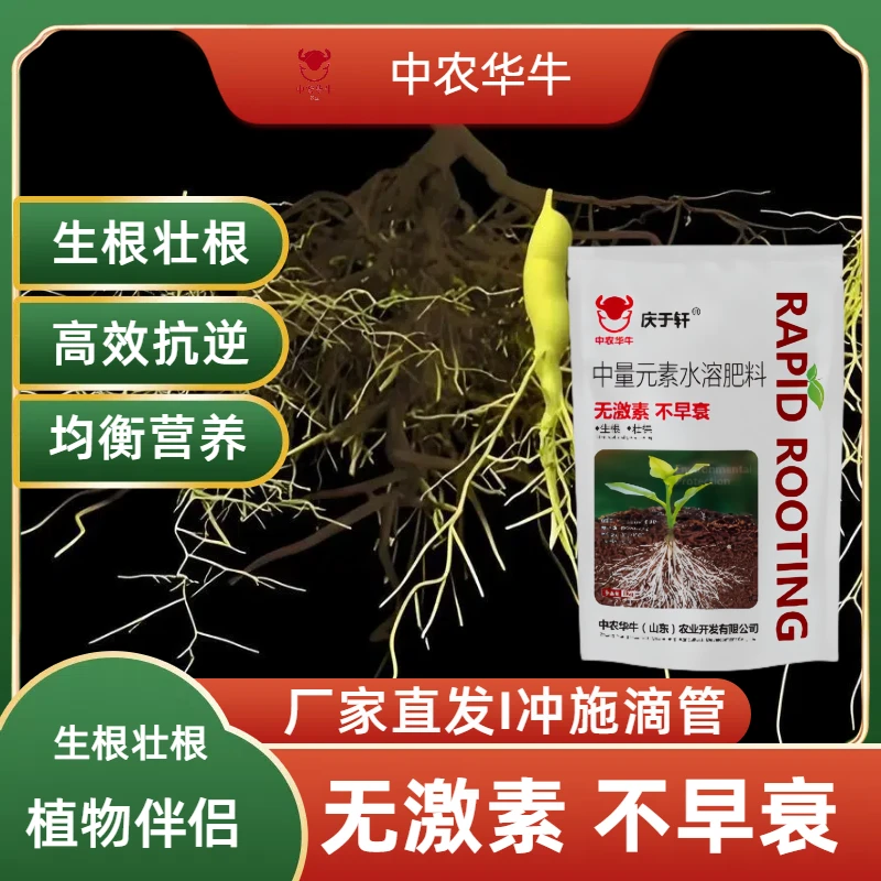 生根壮棵中量元素水溶肥促根壮苗坐果灵