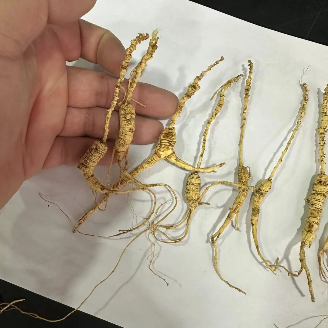 【森山兄弟】放山货订板残参10克 操作不当导致参须断裂，不影响食用