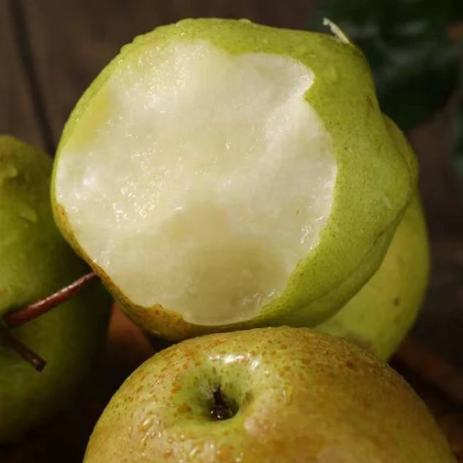 正宗山西临汾隰县玉露香梨4.5斤脆甜薄皮梨子顺丰包邮
