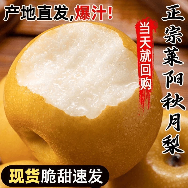 【产地直发】正宗山东莱阳秋月梨现摘现发水果梨子当季净重4.5斤