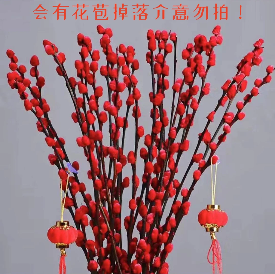 年宵银柳干花鲜枝真花红色花卉喜庆花卉客厅摆放花红梅鲜枝招财