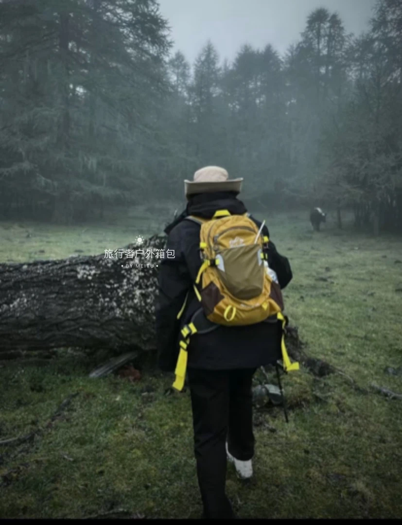 户外徒步背包登山包25升轻便大容量旅行双肩包