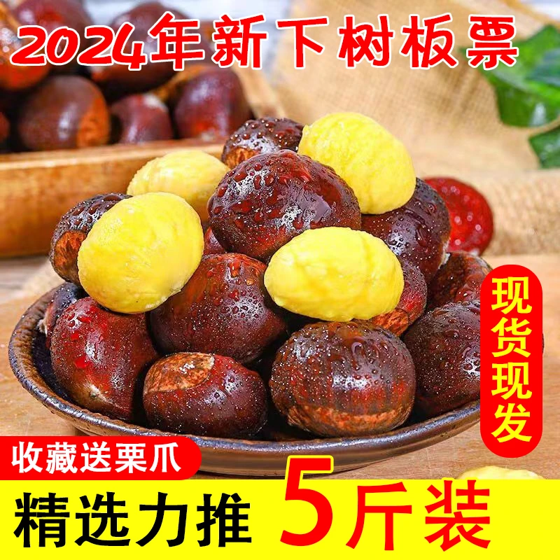 新鲜板栗生当季2024新鲜嫩生板栗毛栗子农家板栗非锥栗丹东菜栗子