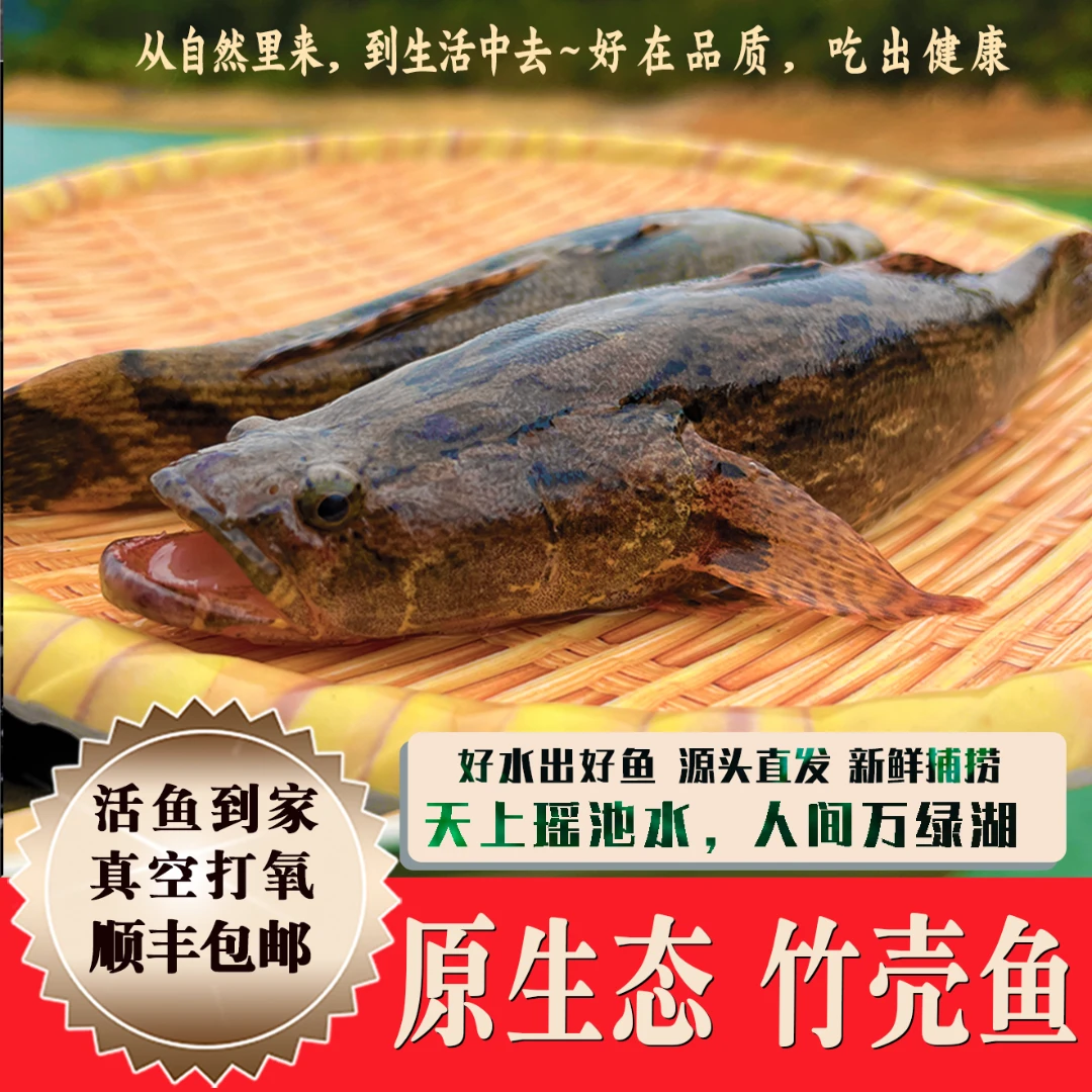 万绿湖原生态品质竹壳鱼，新鲜捕捞肉质嫩滑鲜嫩，真空包装活鱼到家