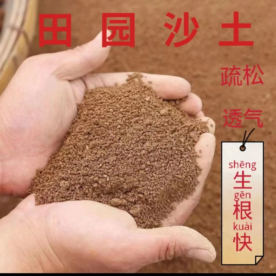 原生海棠花梅花栽培五斤装疏松田园土专用土