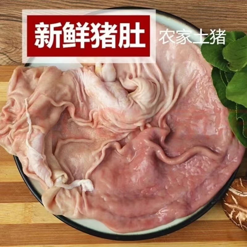 敏姐家540斤以上笨猪猪肚 生鲜新鲜猪肚2斤装 速冻发货顺丰包邮