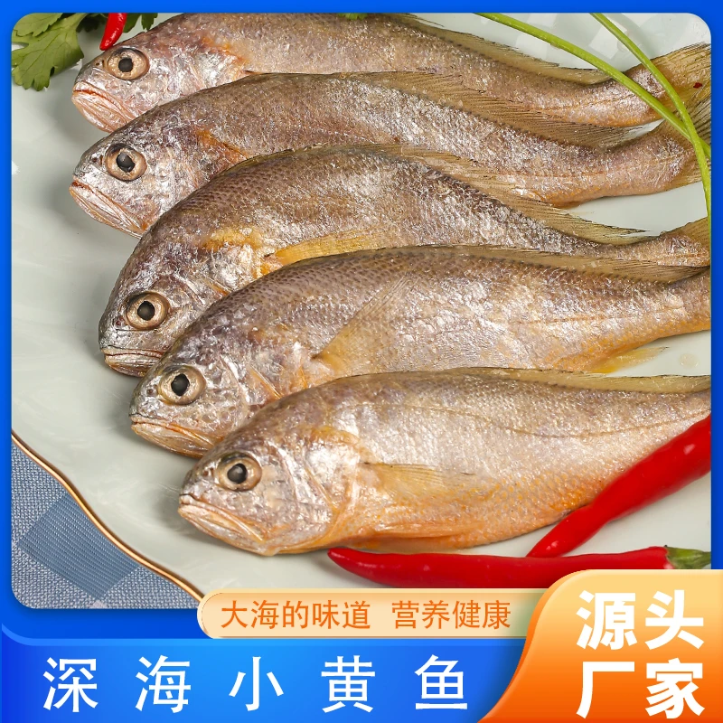 霞关渔娘【耀哥专属】野生细鳞小黄花鱼480克*4盒现捕产地直供