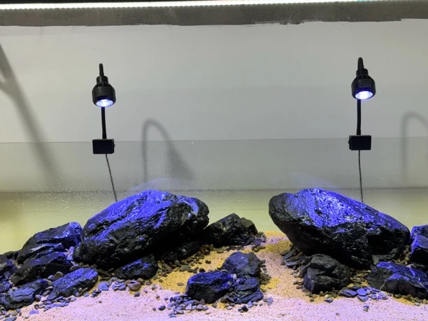 原生黑金峡谷溪流石