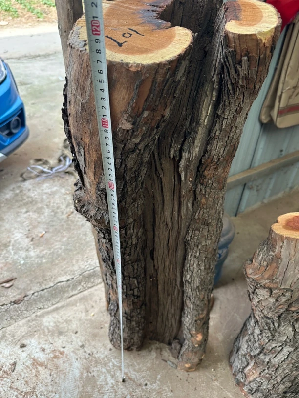 雷击枣木原木木方木墩原料板材木方