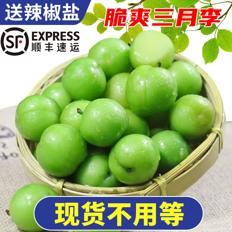 【现货顺丰快递】广东三月李青李子脆爽李子早李珍珠李当季新鲜采摘
