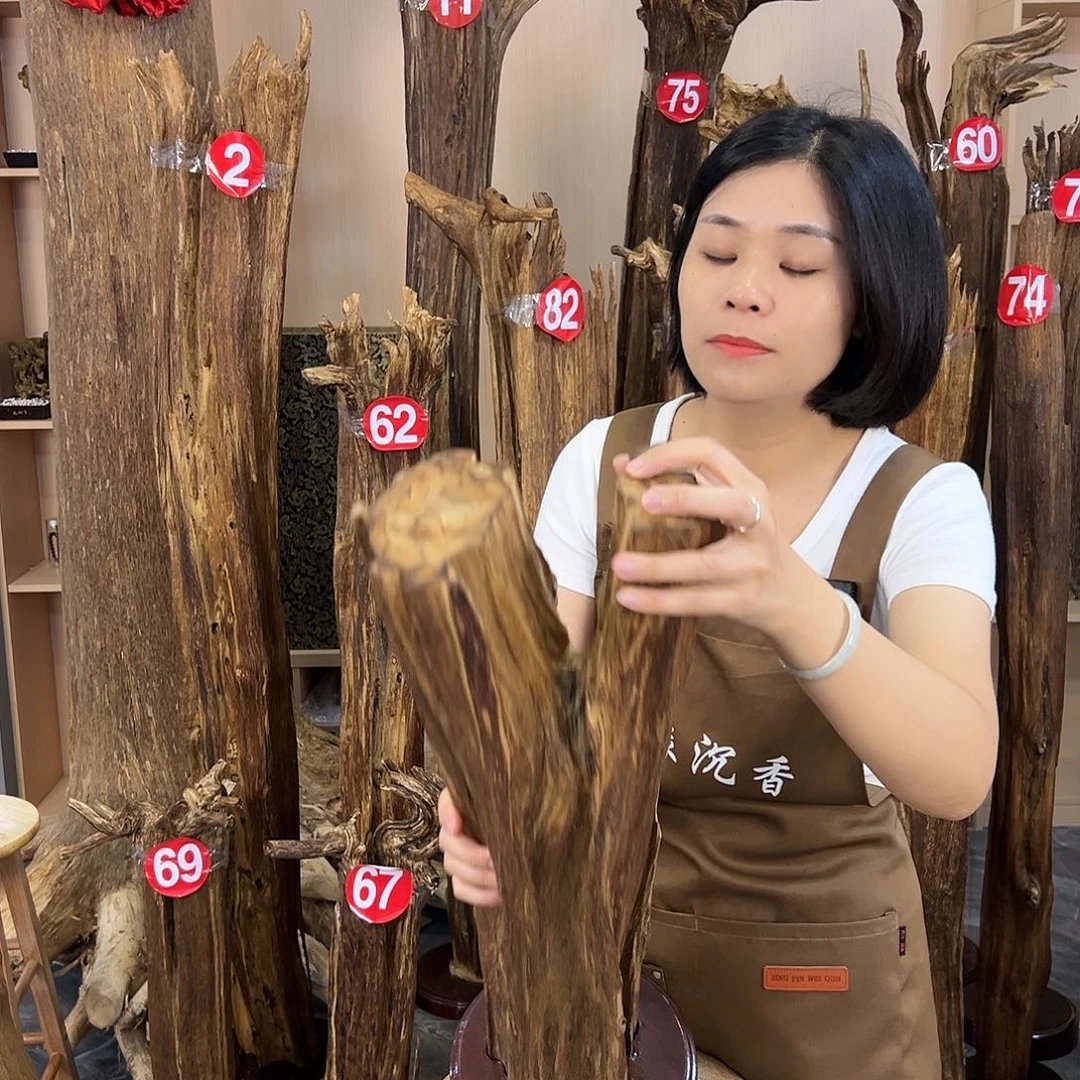 海南沉香 香粉 香道