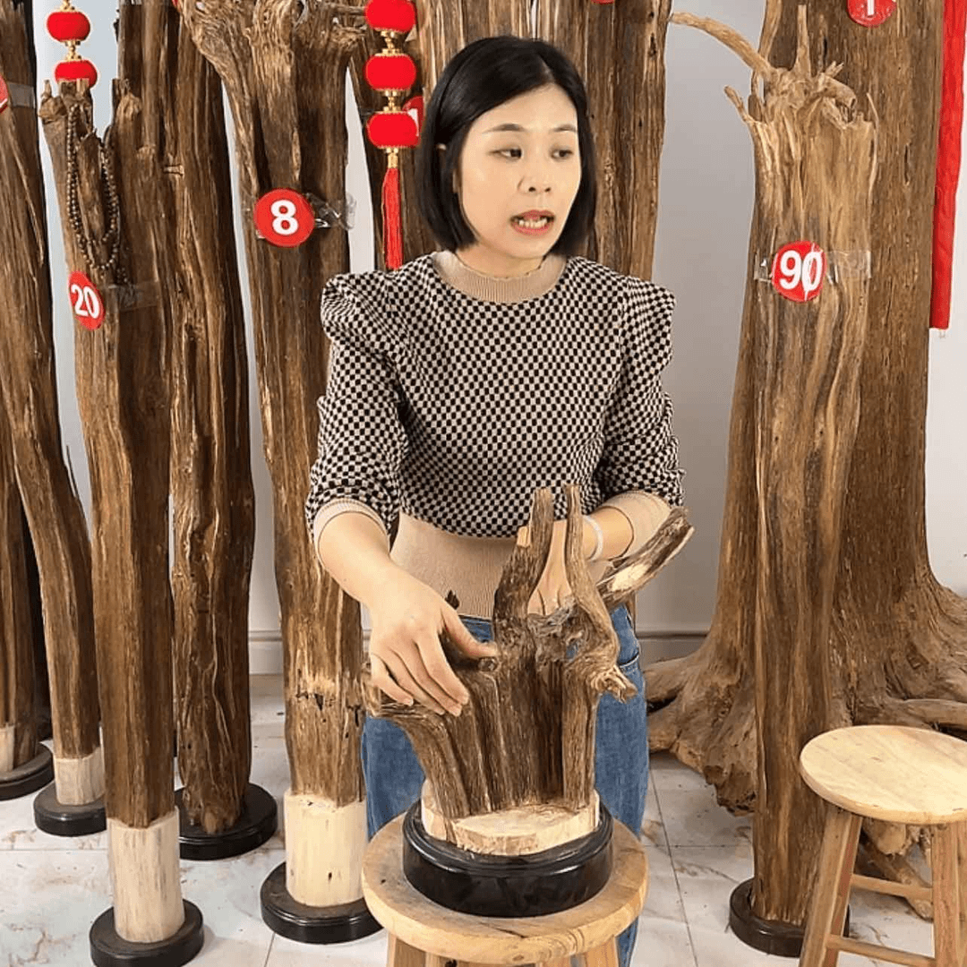 【闪购商品】香道类
