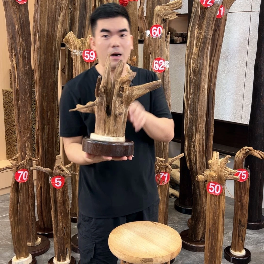 沉香摆件海南沉香原料摆件