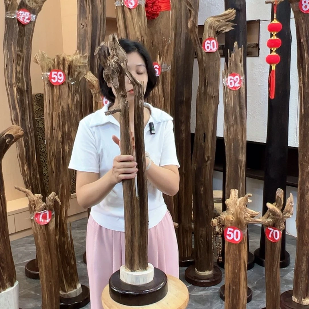 沉香摆件海南沉香原料摆件