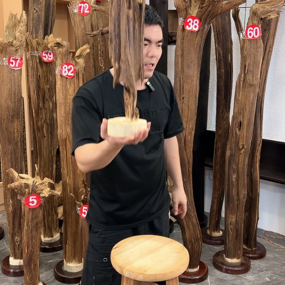 沉香摆件海南沉香原料摆件