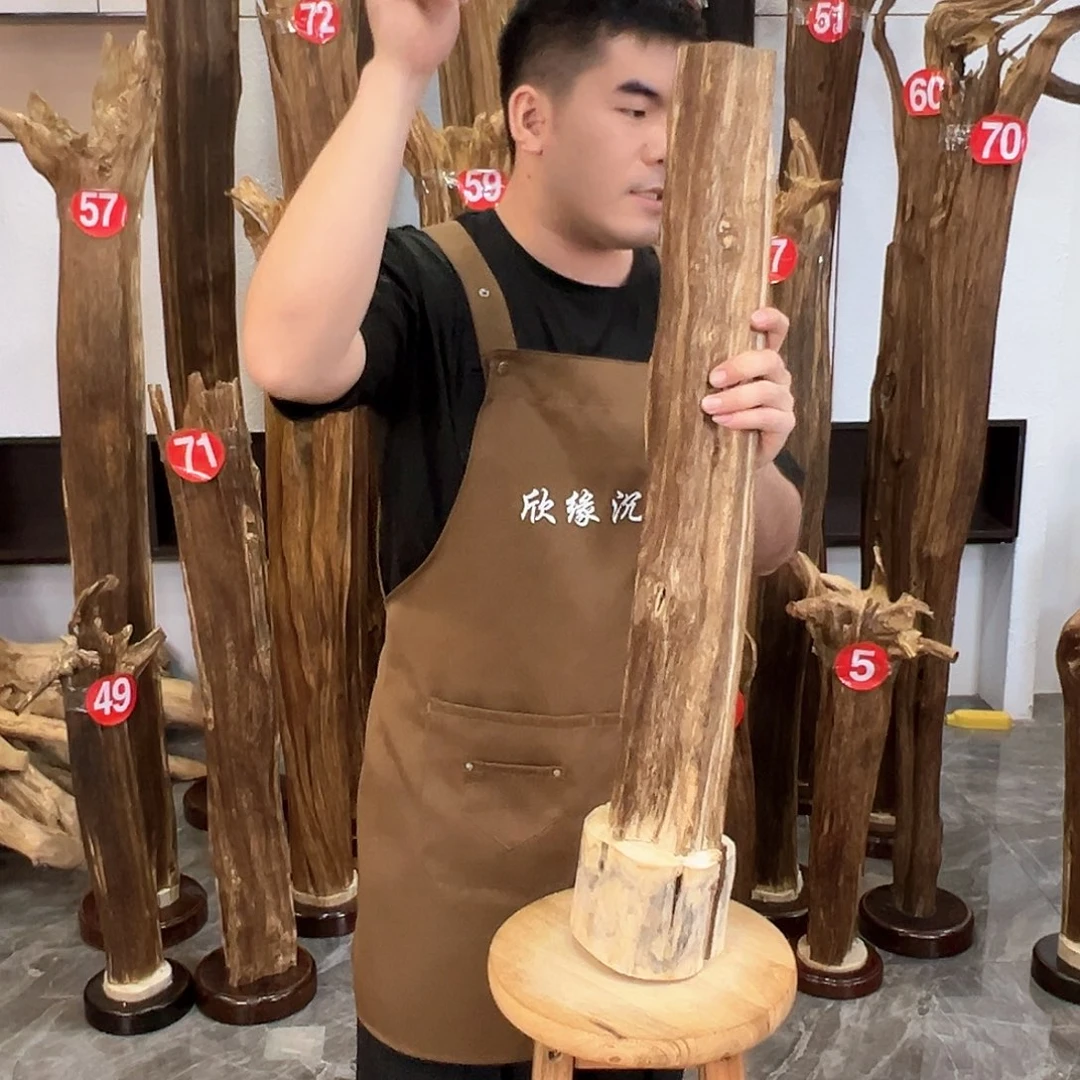 沉香摆件海南沉香原料摆件
