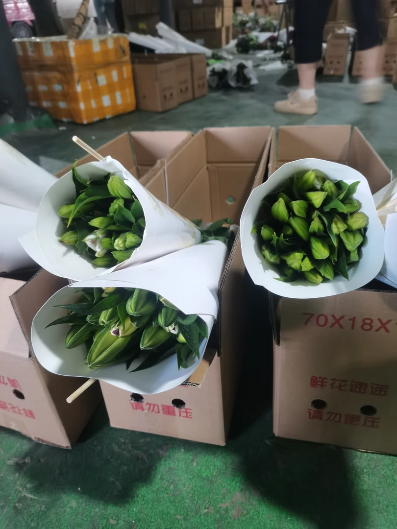 4号粉色单瓣百合我要买我不售后