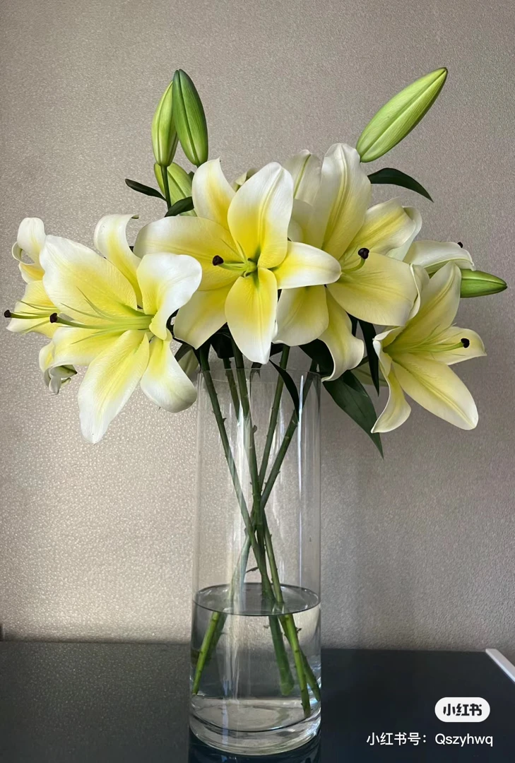 11号黄天霸百合混头歪脖子我要买我不售后