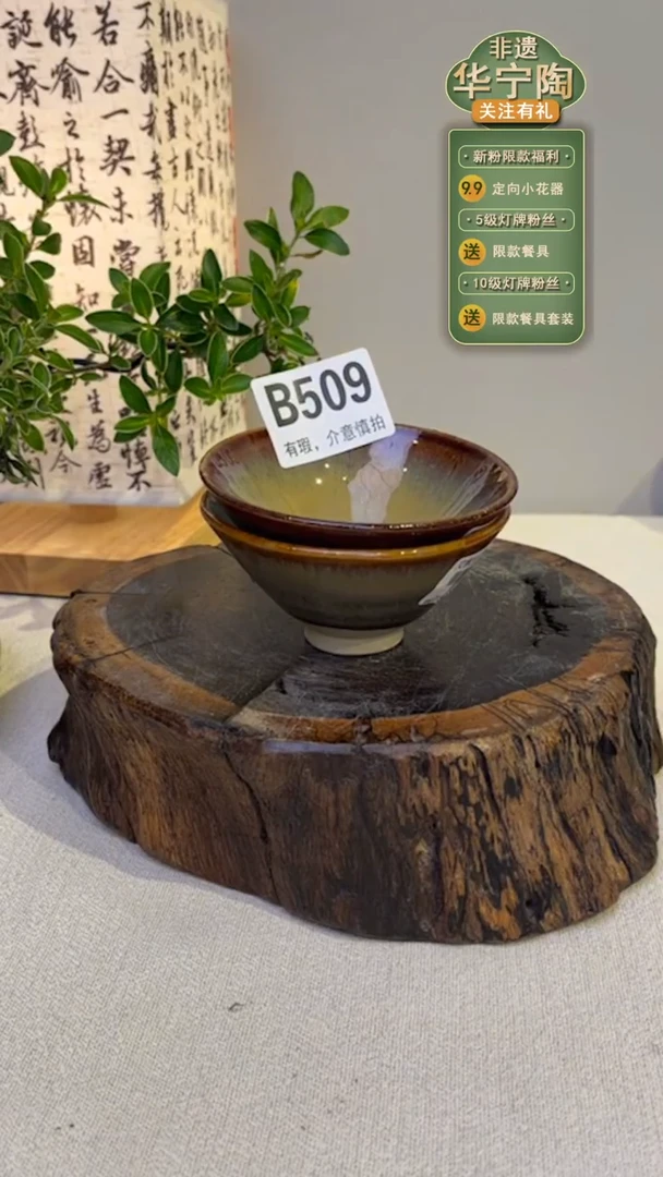 【闪购商品】陶瓷碗509