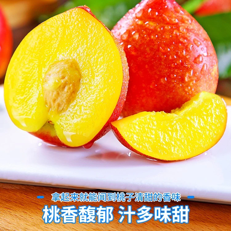 阳光成熟油桃黄肉桃子水蜜桃当季水果现摘现发3/5斤孕妇