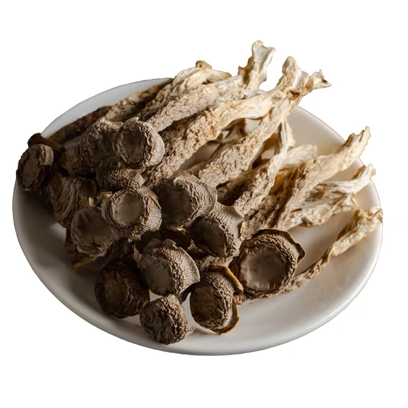 【小鑫收山货】鹿茸菇 云南土特产山货食用农产品干菌子250g-500g