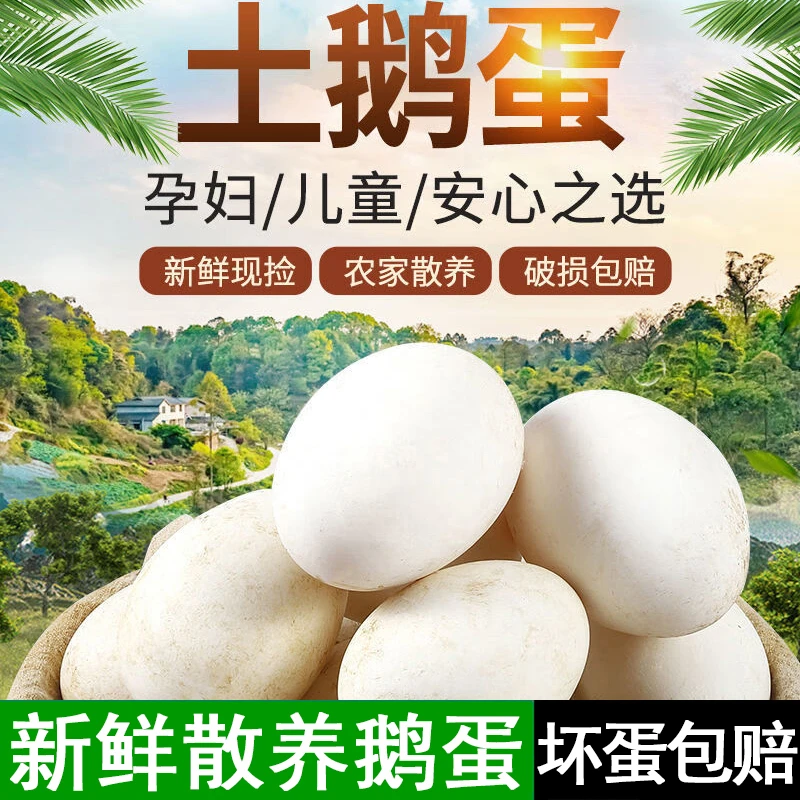 【坏蛋包赔】现捡现发新鲜土鹅蛋一箱12枚单枚重120g左右