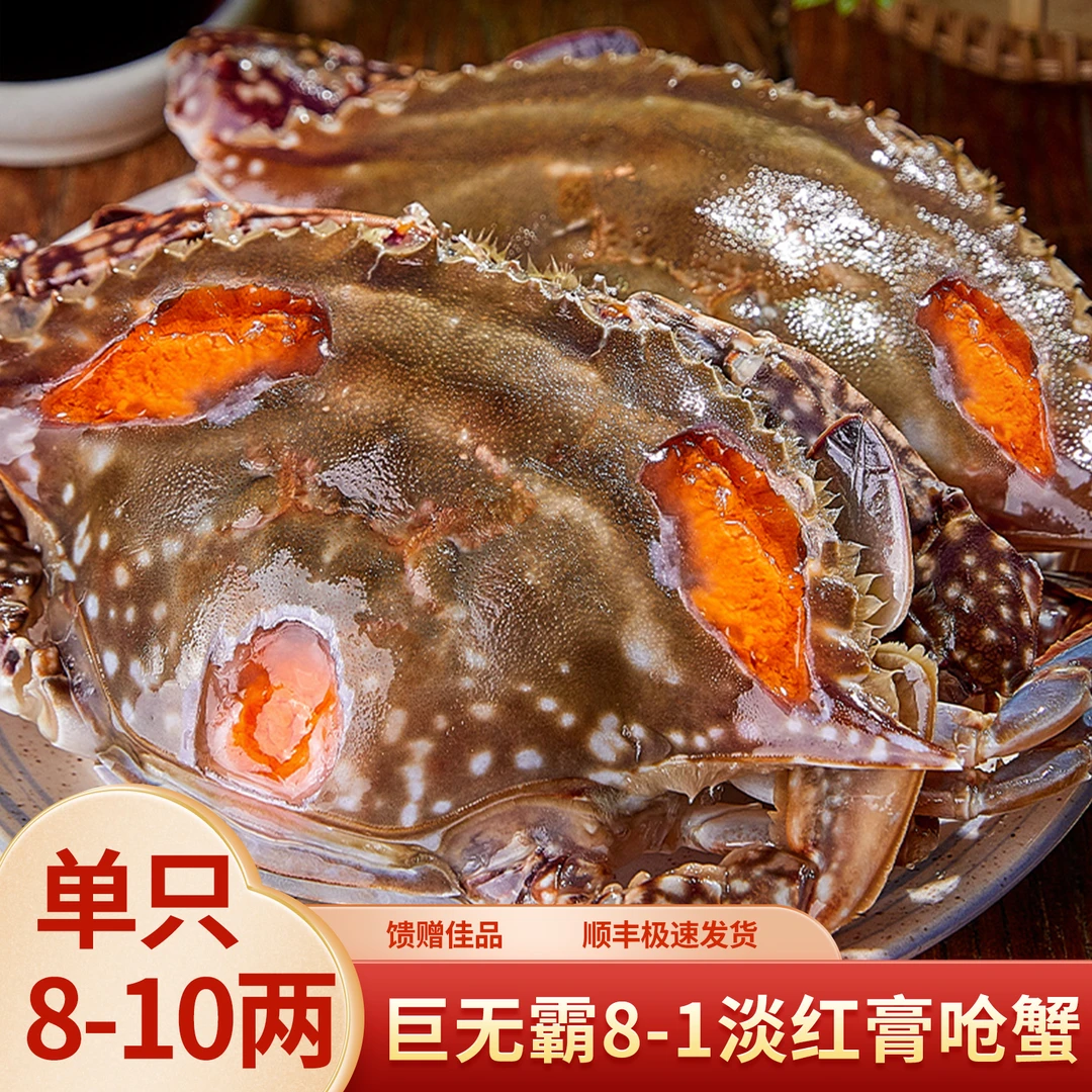 【家庭款巨无霸8-1】舟山呛蟹家庭普通红膏淡红膏呛蟹8两起/只