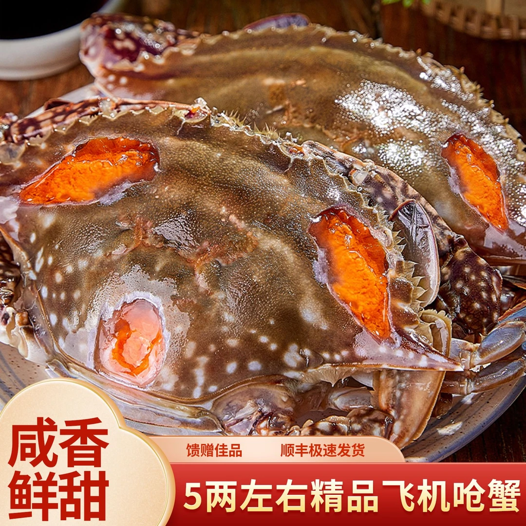 【精品飞机呛蟹】舟山精品飞机红膏炝蟹呛蟹 半斤左右 咸蟹只可生食