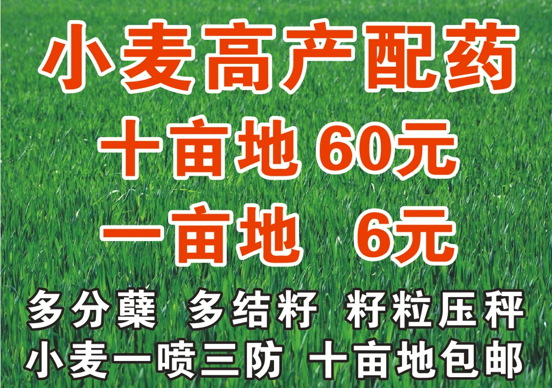 小麦一喷三防，十亩地60元包邮