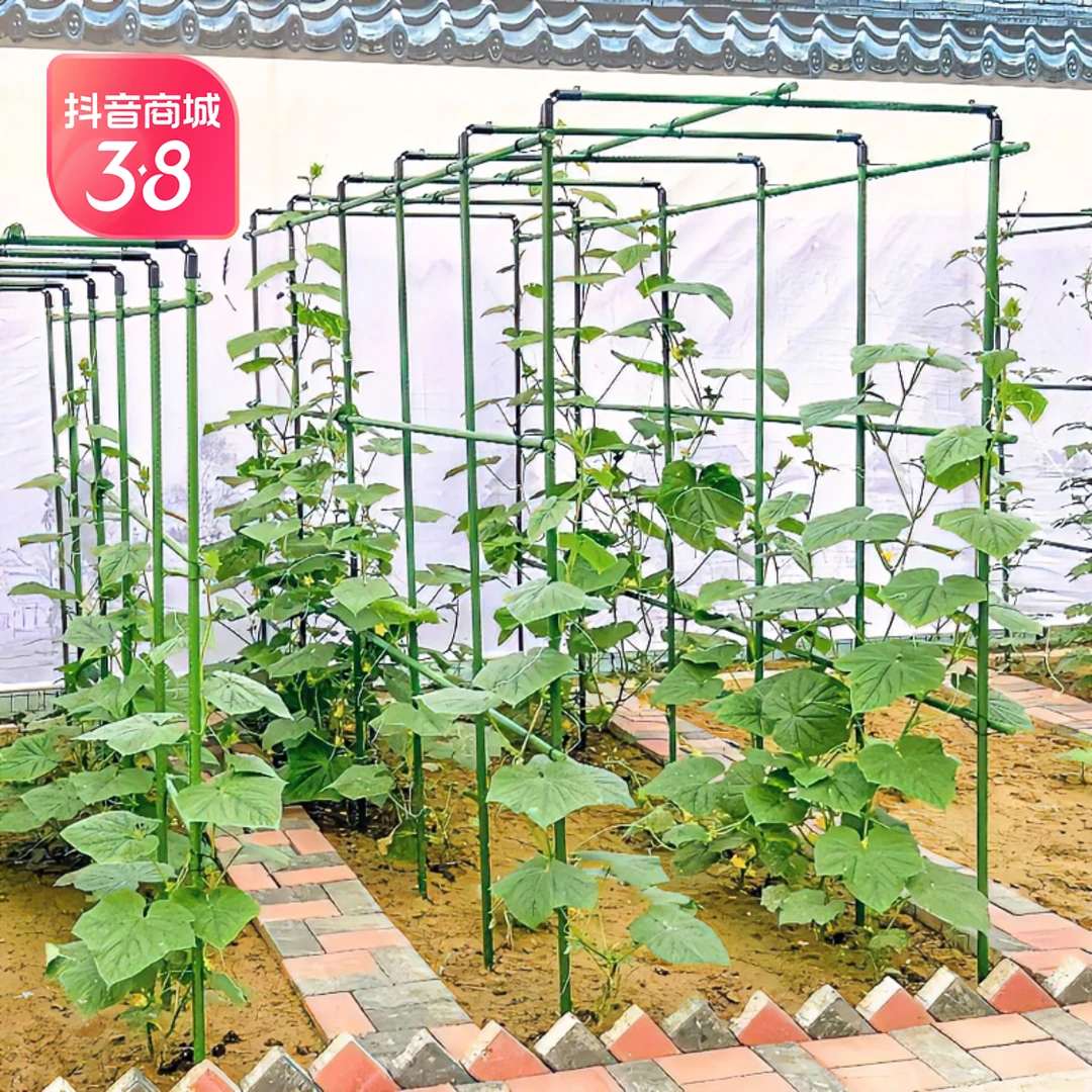爬藤架葡萄黄瓜豆角架花支架户外庭院园艺包塑支撑杆花架支撑杆