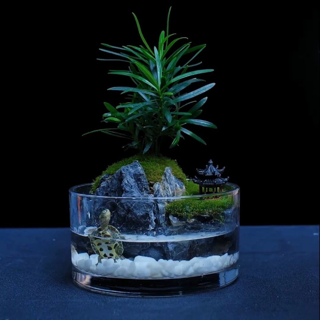 【蜀韵】圆缸加厚罗汉松山水景观可养鱼虾15*8