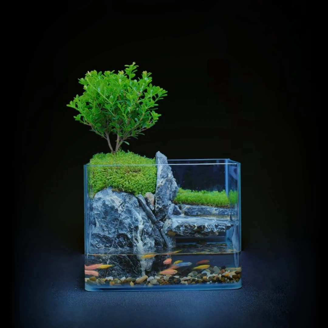 【蜀韵】静态小水居小叶赤楠乌龟山水桌面景观18*16*14