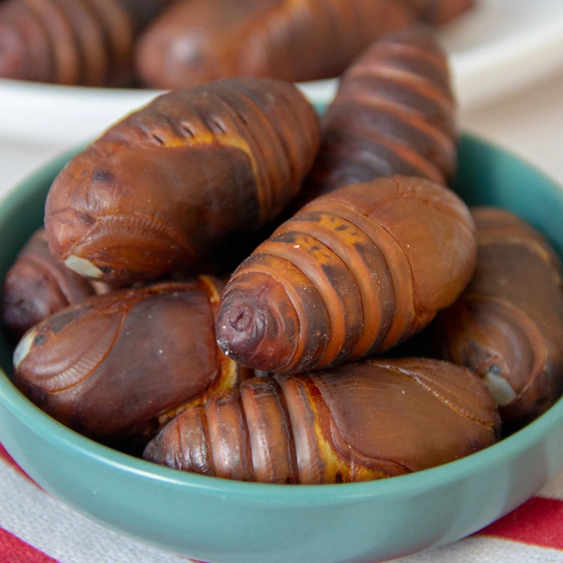 包邮东北特产新鲜茧蛹二黄大个蚕蛹4-5cm/粒补充高蛋白绿色低脂