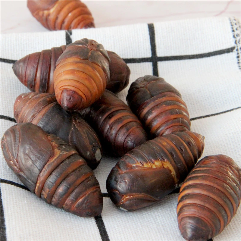 顺丰包邮丹东特产柞树蛹新鲜茧蛹黄二黄蚕蛹补充高蛋白健康原产地