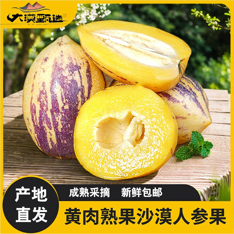 【产地直发】甘肃民勤沙漠人参果香甜低糖多汁当季新鲜小孩孕妇水果