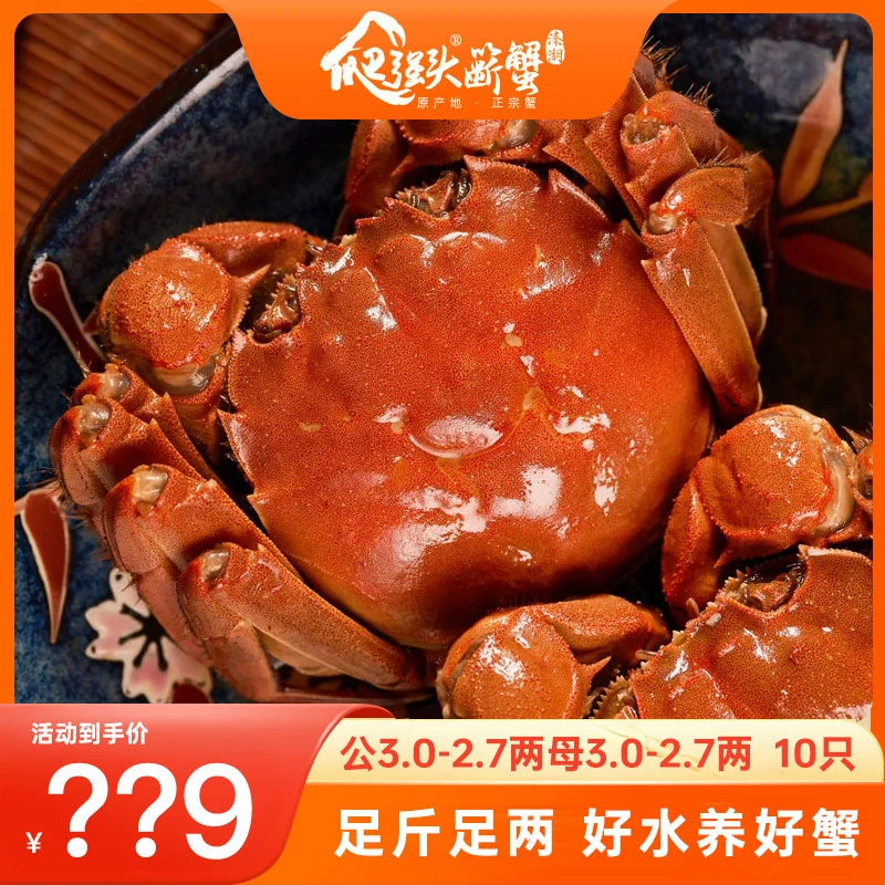 【活蟹】CC江苏正宗溱湖蟹大闸蟹公3.0-2.7两母3.0-2.7两 8+2只
