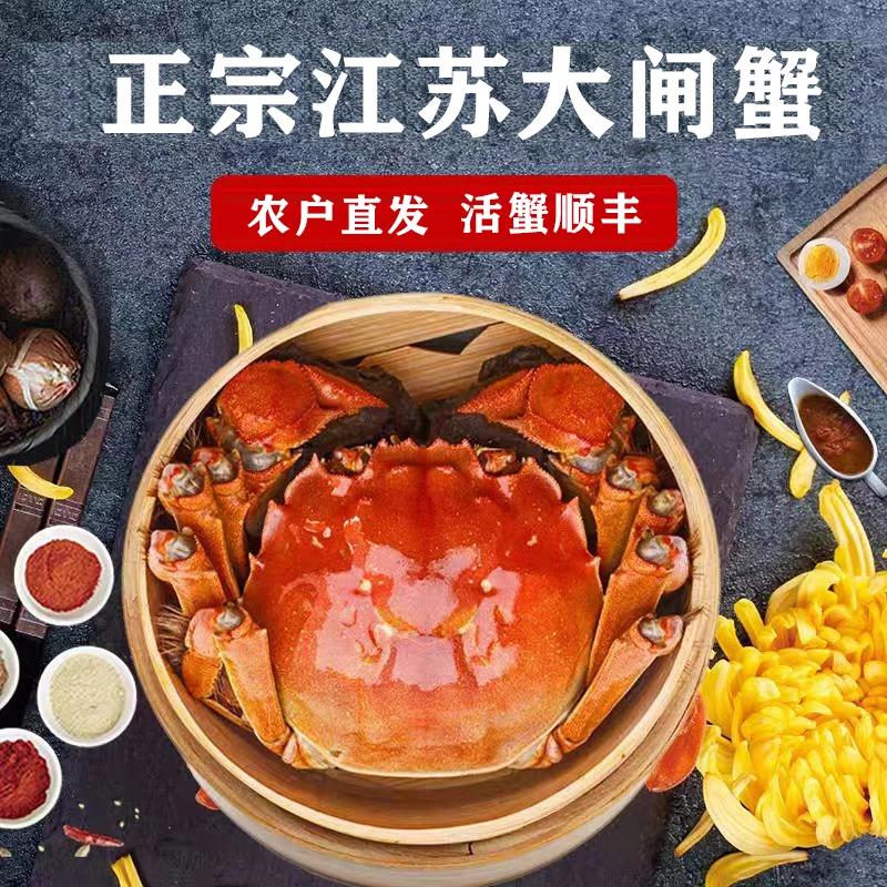 【活蟹】江苏正宗大闸蟹公3.0-2.7两母蟹2.5-2.2两5对10只 AK1