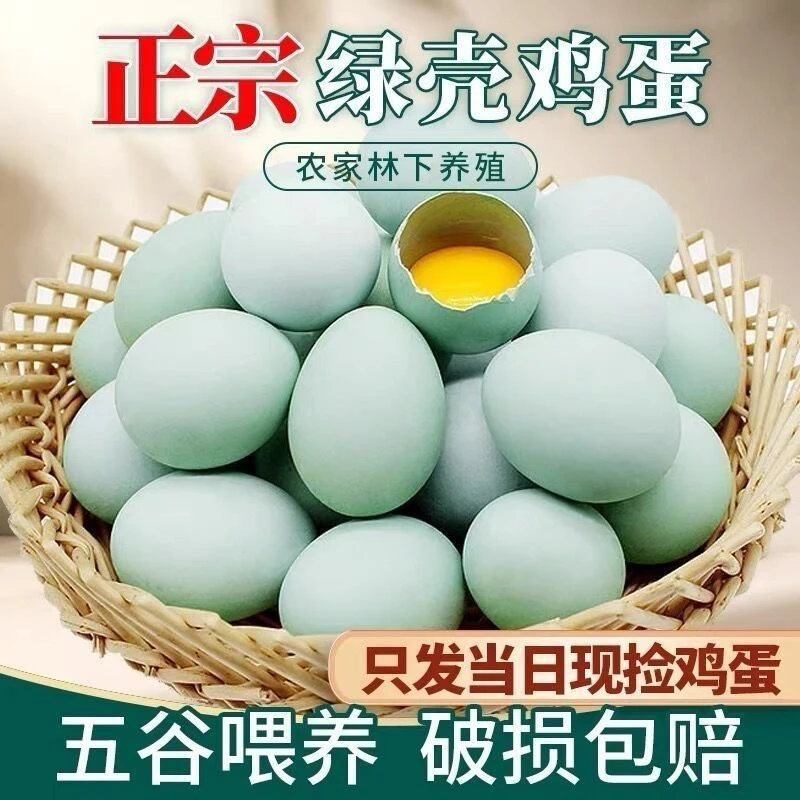 舌尖上的玉食 正宗新鲜乌鸡蛋绿壳蛋散养土鸡蛋笨鸡蛋月子蛋10枚