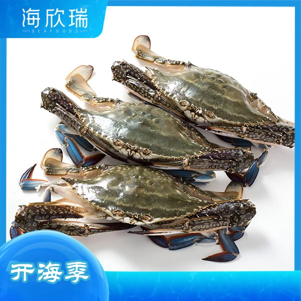 梭子蟹  (约500g)